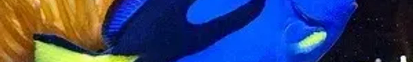 ab5f6490-46f7-4224-aa6a-6e0474263040-2021-07-26_22-14-06.jpg